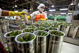 Image result for agroindustriao