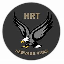 Image result for FBI HRT Logo