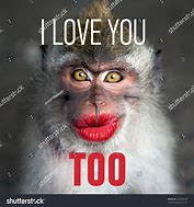 Image result for Love You Too Funny