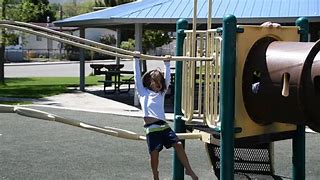 Image result for Florida Man Climbs Playground Equipment