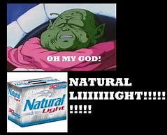 Image result for Natural Light Meme