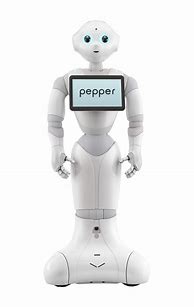 Image result for Robot Peppr