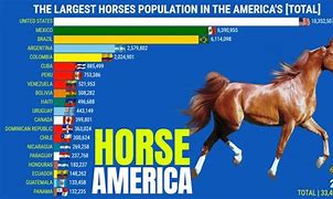 Image result for World's Biggest Horse