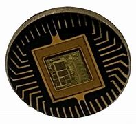 Image result for Microchip Lapel Pin