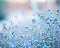 Image result for Soft Baby Blue Aesthetic