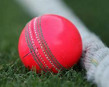 Image result for Pink Cricket Ball