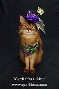 Image result for Mardi Gras Cat