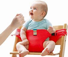 Image result for Chair Harness