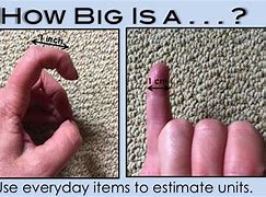 Image result for Things That Are 1 Cm