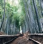 Image result for Kyoto Travel Package