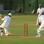 Image result for Cricket Pitch Line Top View