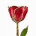 Image result for 24 Karat Gold Plated Forever Love Rose