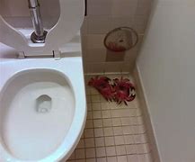 Image result for Crabs STD Toilet Seat