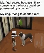 Image result for Yellow Dog Scared Meme