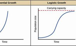 Image result for Exponential Growth Bar Chart