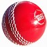 Image result for Cricket Sports PNG