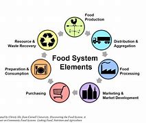 Image result for Local Sustainable Food Chain Examples
