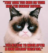 Image result for Grumpy Cat Meme Get Back to Work