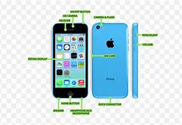 Image result for iPhone 5C Camrea Samples