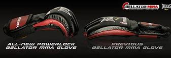 Image result for Bellator MMA Gloves