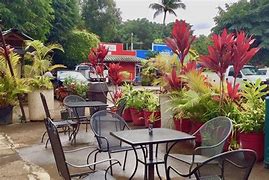Image result for Maui Costco Food Court
