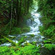Image result for Pretty Nature Wallpapers iPhone