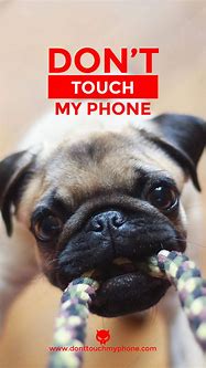 Image result for Dogs Wallpaper Don't Touch My Phone