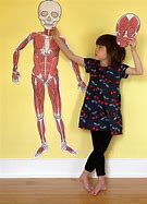 Image result for Life-Size Printable Muscles