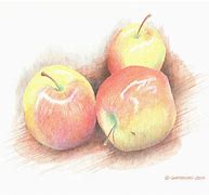 Image result for 3 Apples Drawing