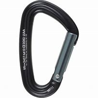 Image result for Metolius Steel Screw Lock Carabiner