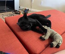 Image result for Phone Wildebeest and Toothless as One