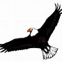 Image result for Free Eagle Clip Art Images