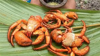 Image result for Hermit Crab Cook