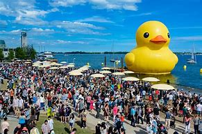 Image result for Ontario Rubber Duck