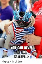 Image result for Happy July 4th Funny