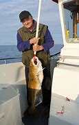 Image result for Fishing Gaff Flat