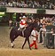 Image result for Ruffian Horse