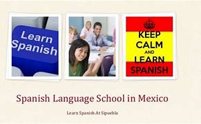 Image result for Mexico Spanish Language School