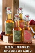 Image result for Variety Apple Cider Packets