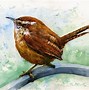 Image result for Wren Bird Drawing