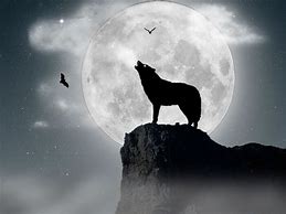 Image result for Wolves Howling at the Moon Wallpaper