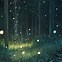 Image result for Night Forest Wallpaper
