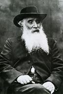 Image result for Jacob Abraham Camille Pissarro