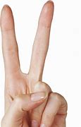 Image result for 0 Hand Sign