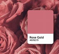 Image result for Rose Gold Color Number