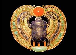 Image result for Egyptian Scarab Beetle Facts