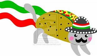 Image result for Taco Cat PNG