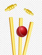 Image result for Black and White Cricket Stumps