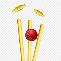 Image result for Cricket Bat Stump Ball Logo