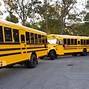 Image result for New York City School Bus